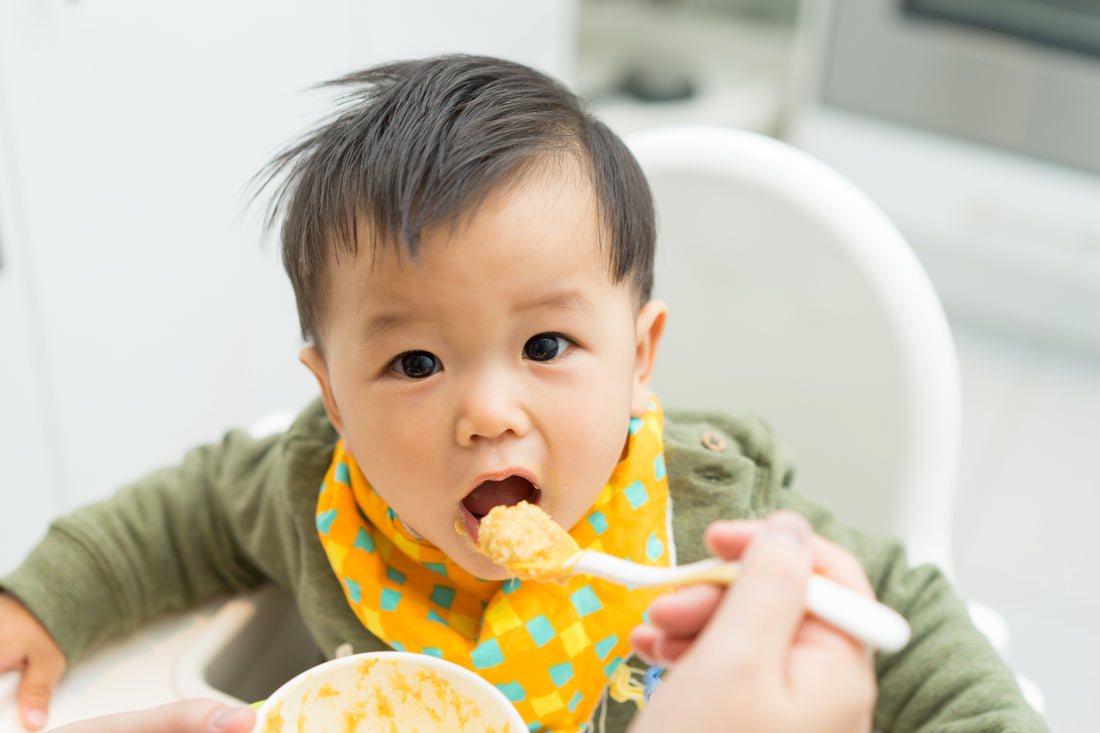 Three Stage-2 yummy baby food recipes