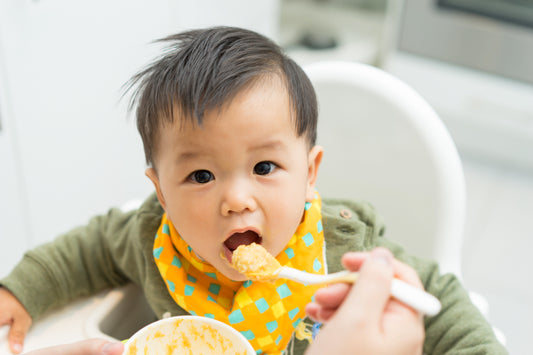 Three Stage-2 yummy baby food recipes