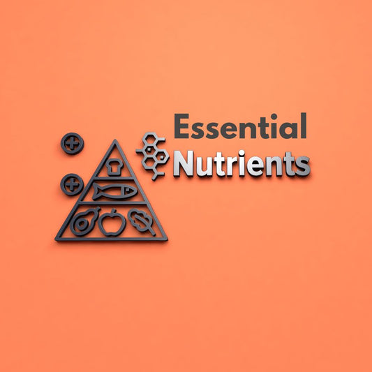 Essential Nutrients for Growing Babies from 6 to 12 months old