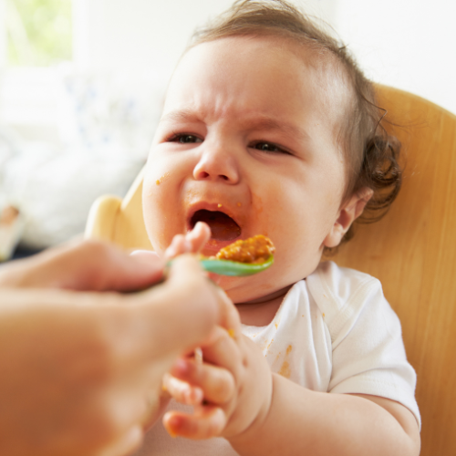 Coping with a Fussy Eating Baby or Toddler